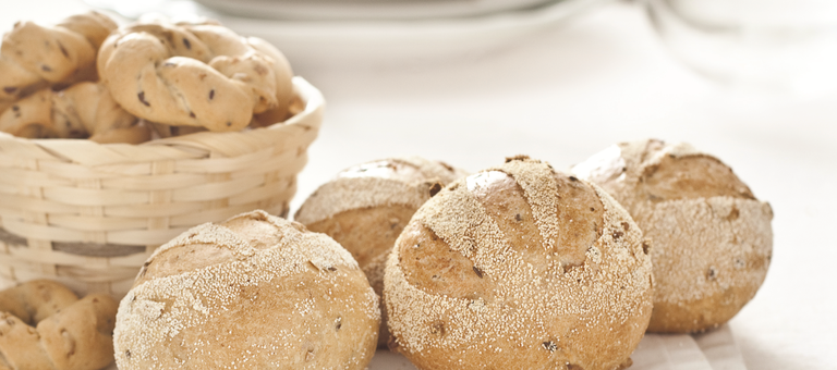 Pane Panda
