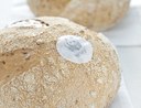 Pane Panda Bio
