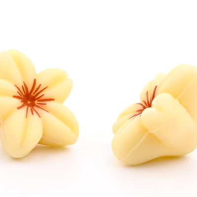 Fiori bianchi 3D