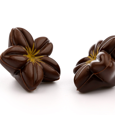 Fiori scuri 3D