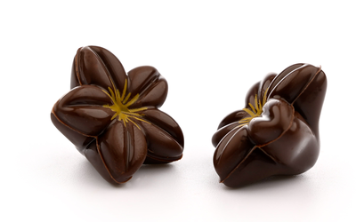 Fiori scuri 3D