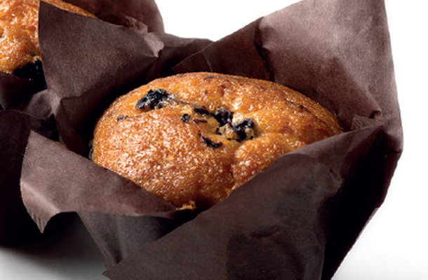 Miss Muffin- Muffin