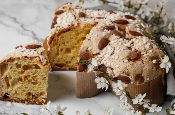 Panaton Colomba Platinum