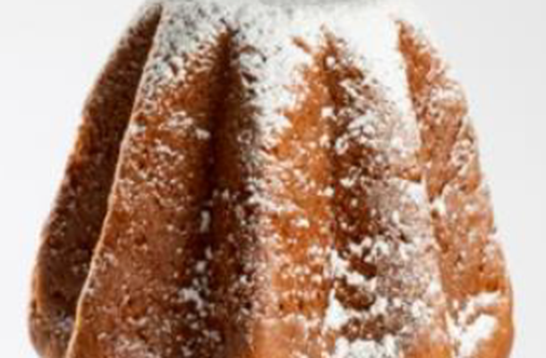16 Cometa Pandoro Incanto